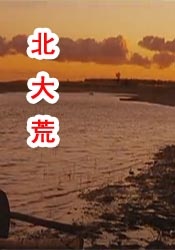 星野大战光头哥视频原版