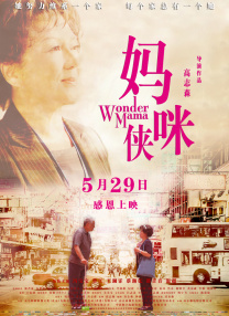 午夜国产精品理论片久久影院